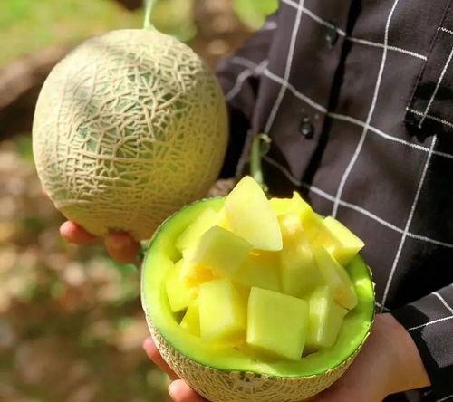 娱乐168吃瓜,揭秘娱乐圈最新吃瓜事件，带你领略明星幕后故事